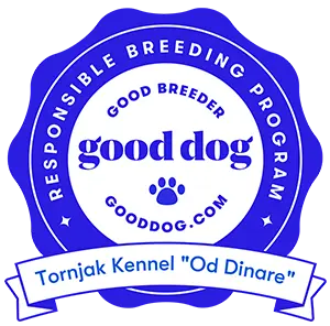 good dog badge