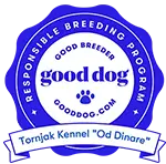 good dog badge
