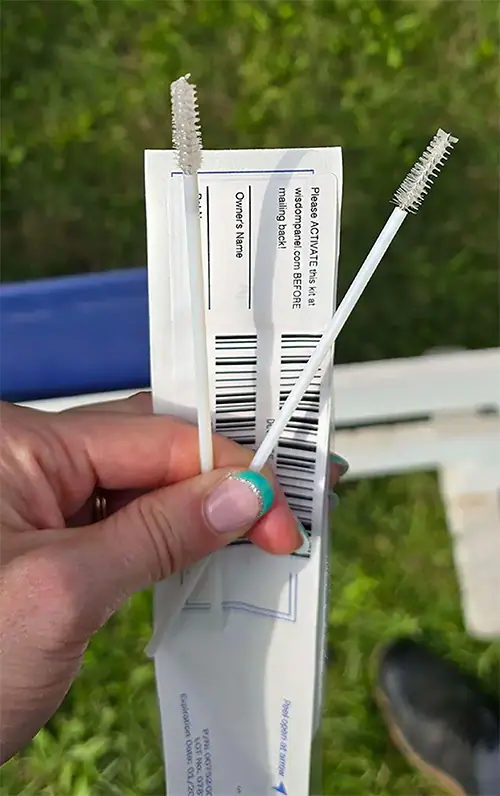 very close up image of 2 DNA swabs in a woman's hand
