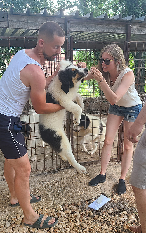 a man holding up a tornjak puppy while a woman takes a DNA swab from the puppies cheek