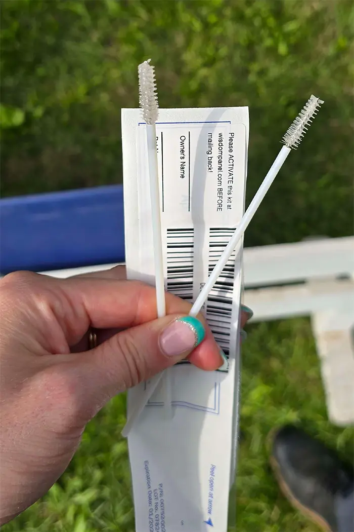 very close up image of 2 DNA swabs in a woman's hand